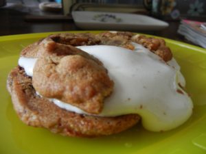 The Grilled Cheeserie: Cookie Melt Post Microwaving| Christina's Best Life