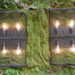 Moss lights